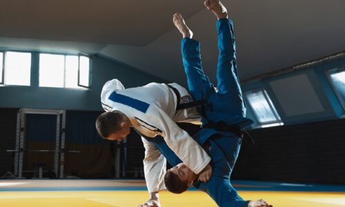 Honors Degree in Sports and Martial Arts